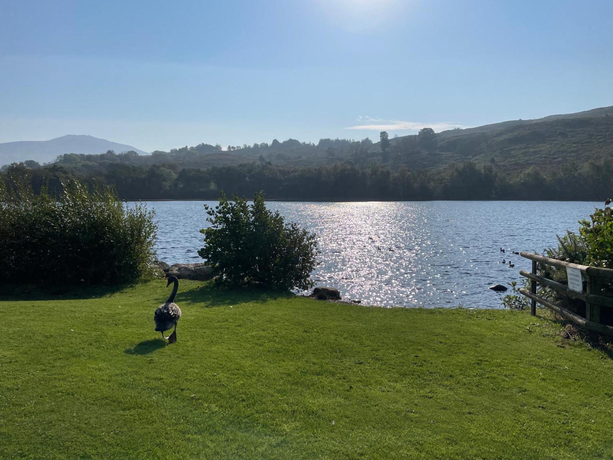 No 61 Brynteg Country & Leisure Retreat Villa Cwm-y-glo Dış mekan fotoğraf